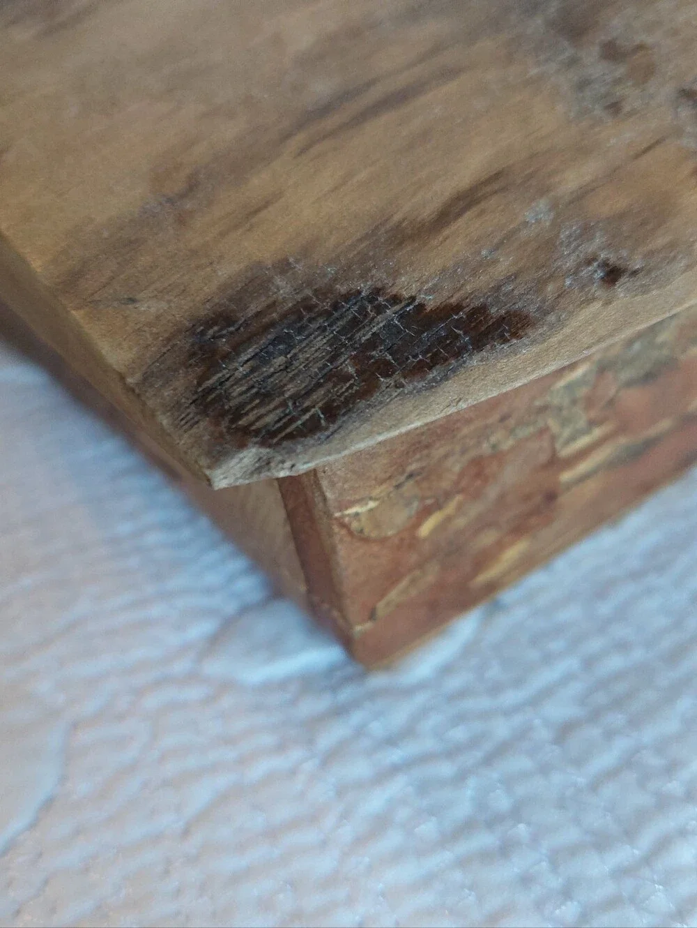 Handmade Walnut Burl Wood Box with Lid Live Edge Rustic Cabin Cottage Core READ